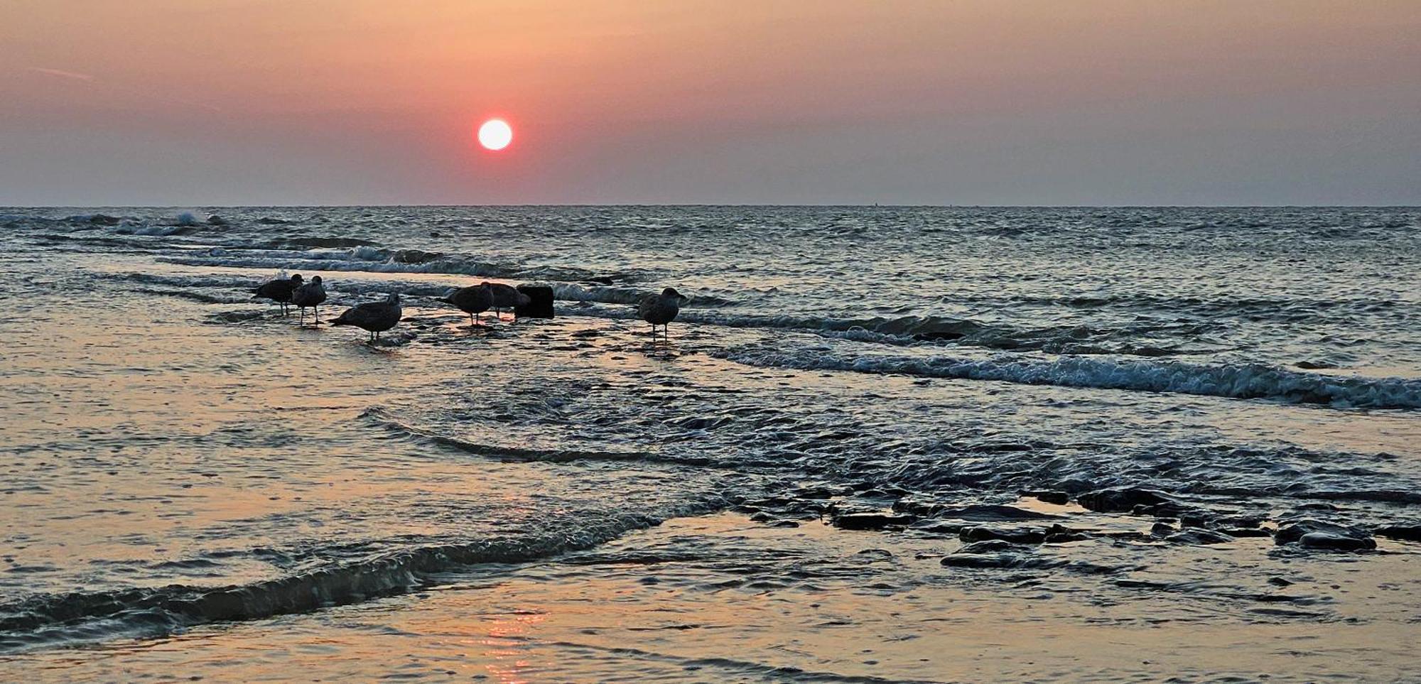 Zanddijk 113, Julianadorp Aan Zee Exteriér fotografie